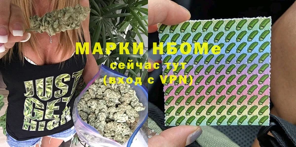 гашик Куйбышев
