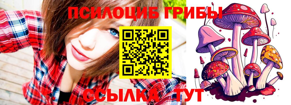 Лесозаводск  Галлюциногенные грибы Psilocybine cubensis  Вход с VPN 