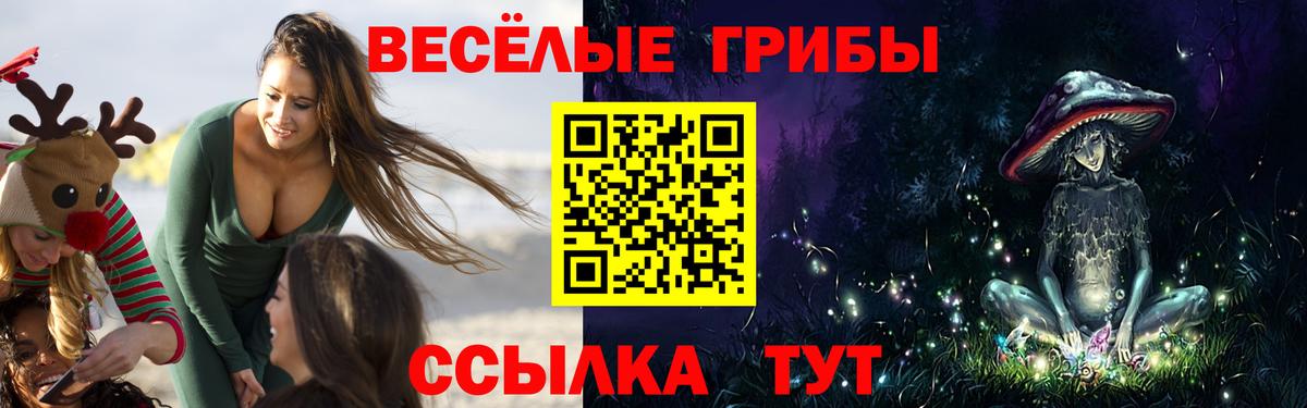 Псилоцибиновые грибы Cubensis Лесозаводск