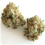 Шишки "White Widow"  (Белая вдова)  Гидропоника -  Бошка VHQ в Лесозаводске